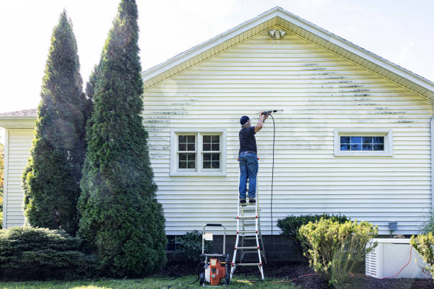 Best Local Pressure Washing Services  in Paris, MO